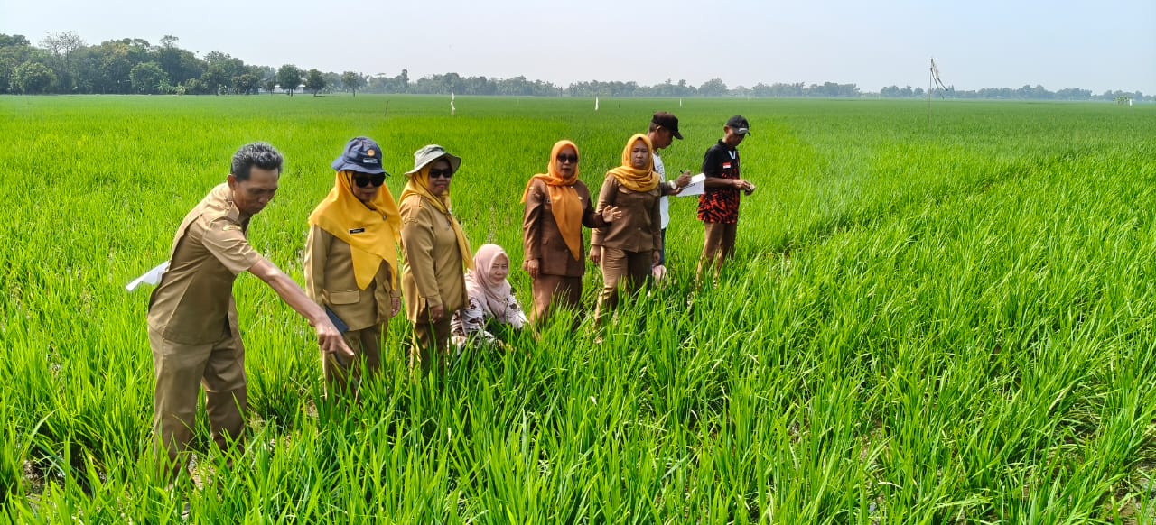 Petani Desa Telukagung Memulai Musim Tanam Rendeng Pada 25 Desember 2025